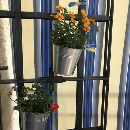 Apartment Mays *